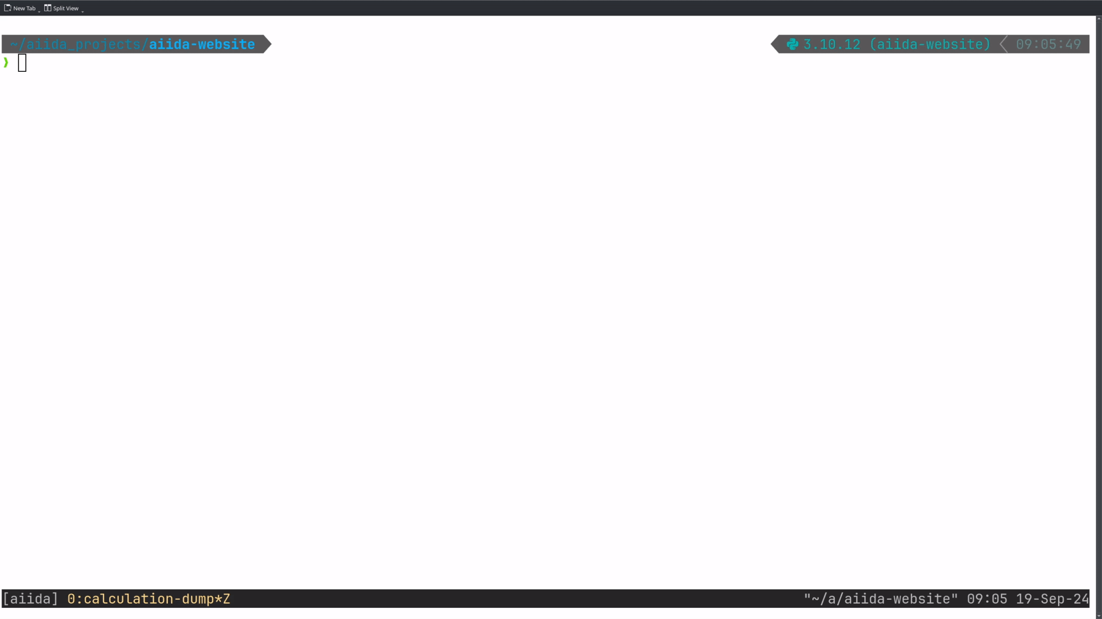 PwCalculation dump